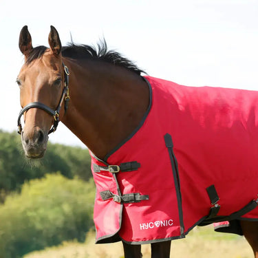 HyCONIC 100g Turnout Rug| Online For Equine