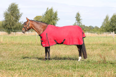 HyCONIC 200g Turnout Rug| Online For Equine