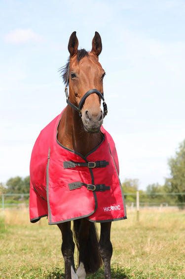HyCONIC 200g Turnout Rug| Online For Equine