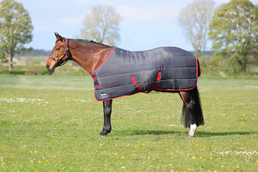 HyCONIC 250g Stable Rug| Online For Equine
