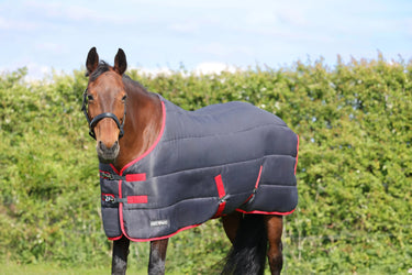 HyCONIC 250g Stable Rug| Online For Equine