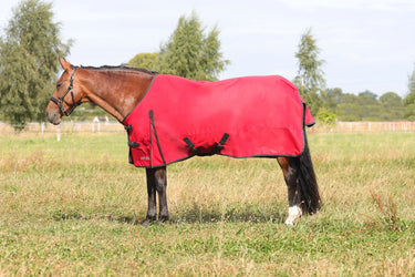 HyCONIC 50g Turnout Rug| Online For Equine