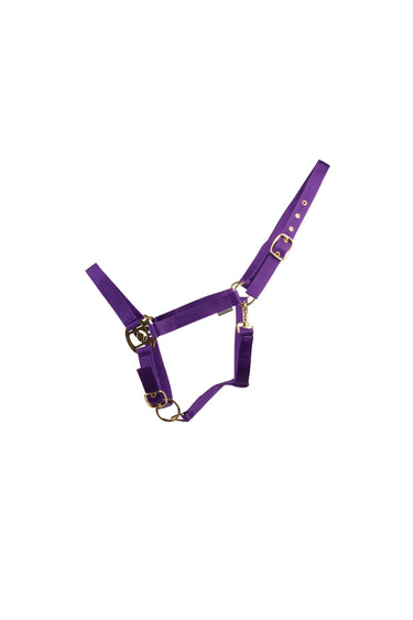 HyCONIC Head Collar| Online For Equine