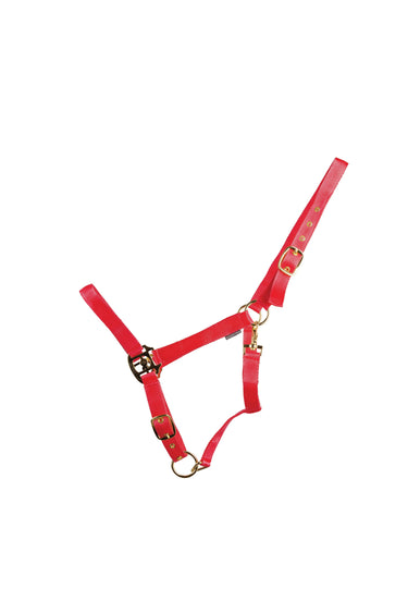 HyCONIC Head Collar| Online For Equine