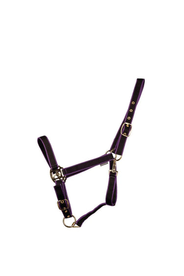 HyCONIC Head Collar| Online For Equine