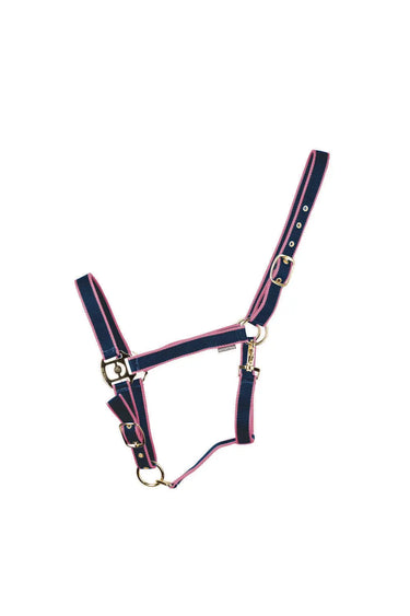 HyCONIC Head Collar| Online For Equine