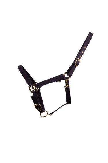 HyCONIC Head Collar| Online For Equine