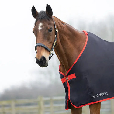 HyCONIC Summer Sheet| Online For Equine