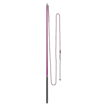 Buy Imperial Riding Lunging Whip Carbon | Online for Equine