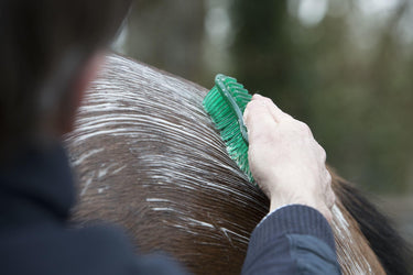 LeMieux Hippo Brush Green