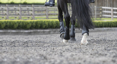 LeMieux Schooling Boots Black