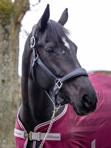 LeMieux Stitched Leather Headcollar Black