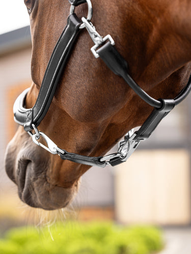 LeMieux Leather Grooming Headcollar Black