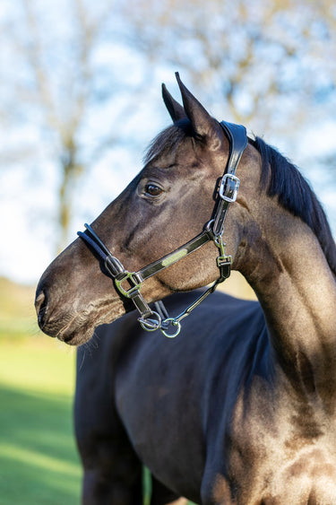 LeMieux Rope Control Headcollar Black