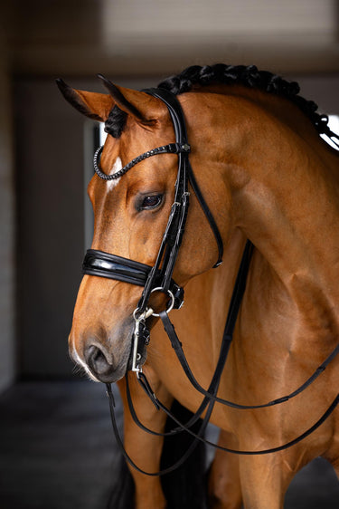 LeMieux Kudos Double Bridle Black