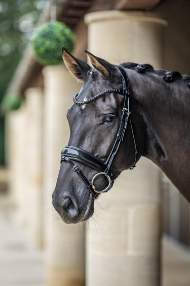 LeMieux Kudos Patent Dressage Bridle Black