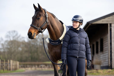 Buy LeMieux Navy Horse Walker Rug| Online for Equine