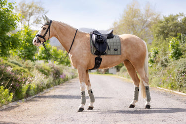 Buy LeMieux Loire Classic Dressage Square Fern - Large| Online for Equine