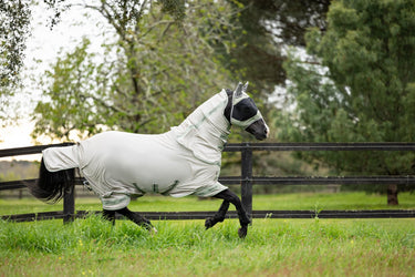 LeMieux Arika Armour-Tek Fly Rug Stone