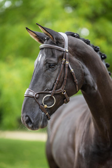 LeMieux Kudos Clear Arc Bridle Havana/Brass