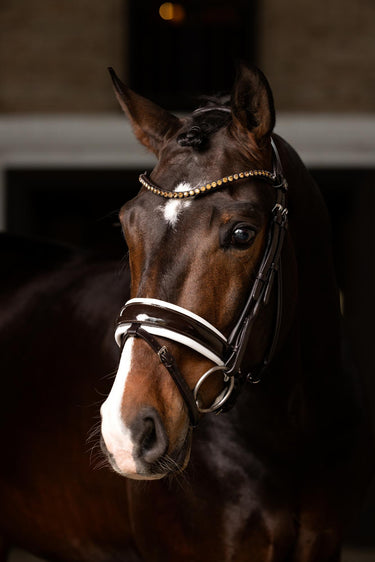 LeMieux Kudos Patent Dressage Bridle Brown/White