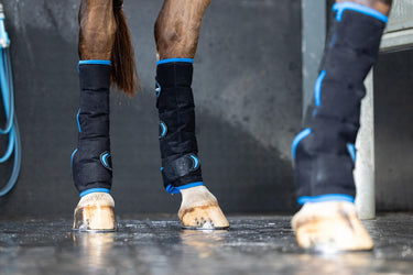 LeMieux Freeze Flow Ice Boot Hind Black