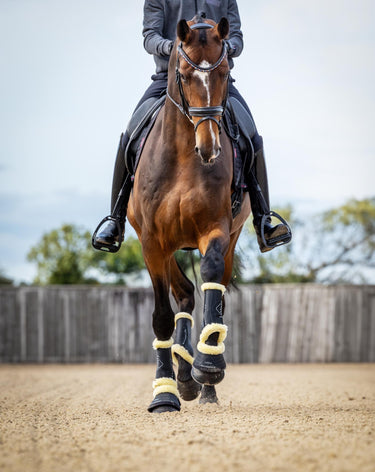 LeMieux Motionflex Dressage Boot with Fleece Edge Black/Natural