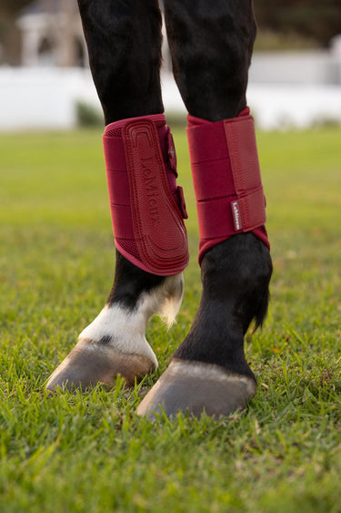 Buy LeMieux Ember Arika Mesh Brushing Boots| Online for Equine