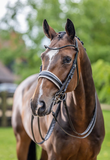 LeMieux Kudos Double Bridle Black/White