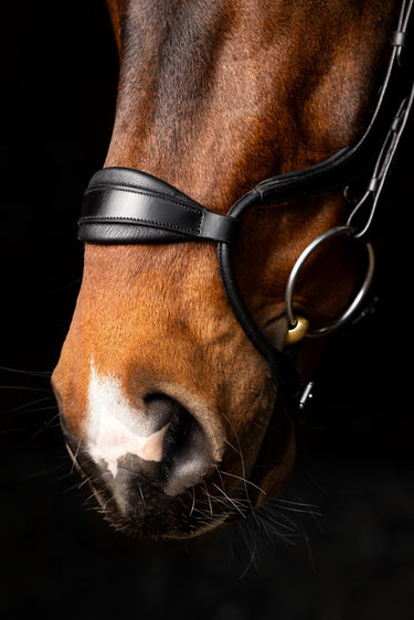 LeMieux Arika Adjustable Anatomic Noseband Bridle Black/Silver