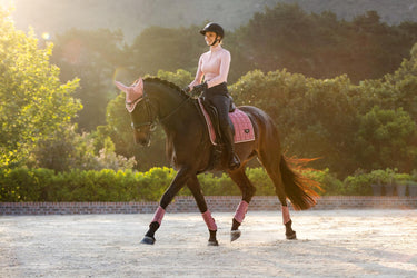 Buy LeMieux Loire Classic Dressage Square Peony | Online for Equine
