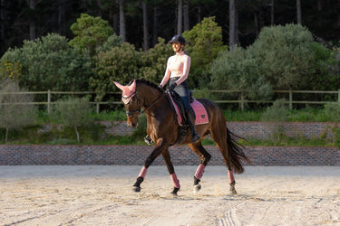 Buy LeMieux Loire Classic Dressage Square Peony | Online for Equine