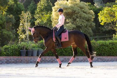 Buy LeMieux Loire Classic Dressage Square Peony | Online for Equine