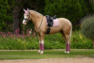 Buy LeMieux Suede Dressage Square Blossom | Online for Equine