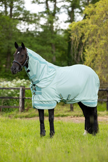 Buy LeMieux Arika Armour-Tek Fly Rug Aqua | Online for Equine