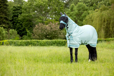 Buy LeMieux Arika Armour-Tek Fly Rug Aqua | Online for Equine