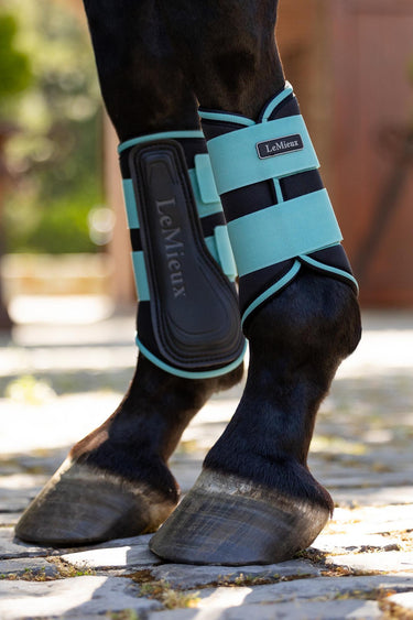 Buy LeMieux Grafter Brushing Boots Lagoon | Online for Equine