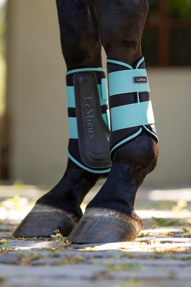 Buy LeMieux Grafter Brushing Boots Lagoon | Online for Equine