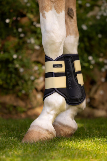 Buy LeMieux Mini Brushing Boots Mimosa | Online for Equine