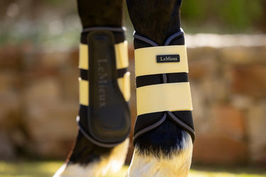 Buy LeMieux Mini Brushing Boots Mimosa | Online for Equine
