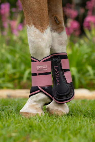 Buy LeMieux Mini Brushing Boots Peony | Online for Equine