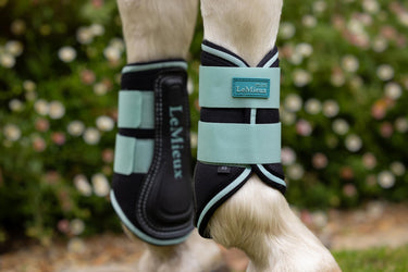 Buy LeMieux Mini Brushing Boots Aqua | Online for Equine