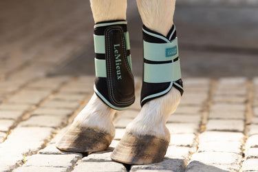 Buy LeMieux Mini Brushing Boots Aqua | Online for Equine