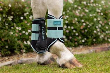 Buy LeMieux Mini Brushing Boots Aqua | Online for Equine