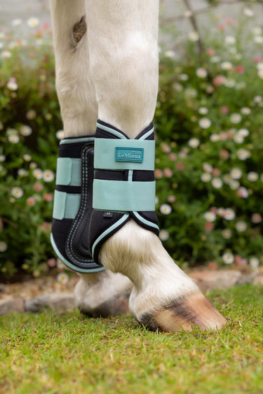 Buy LeMieux Mini Brushing Boots Aqua | Online for Equine