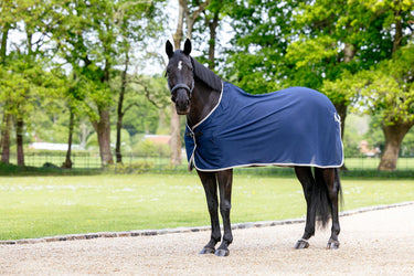LeMieux Scrim Navy