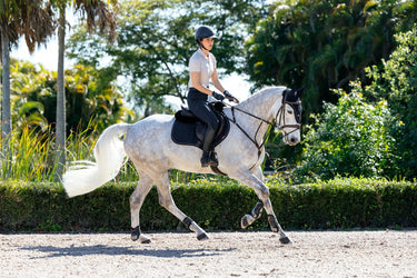 LeMieux Puissance Suede CC Pad Navy