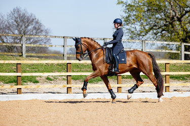 LeMieux Puissance Suede Dressage Pad Navy