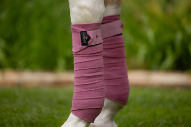 Buy LeMieux Polo Bandages Peony | Online for Equine
