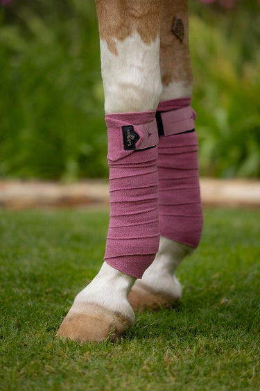 Buy LeMieux Polo Bandages Peony | Online for Equine